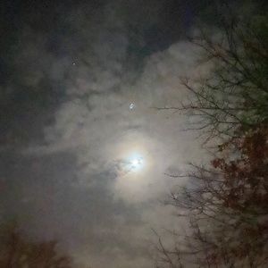 Meet your Posher, Louise